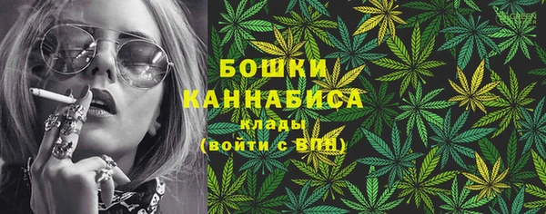 молекула духа Балахна