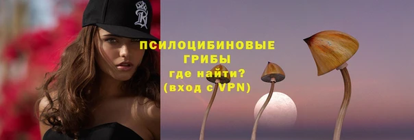 молекула духа Балахна