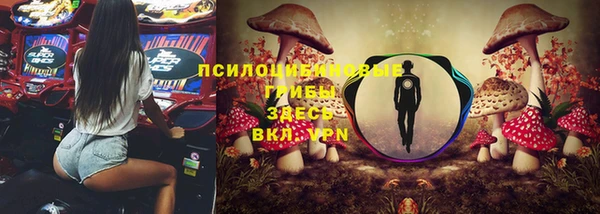 дмт Баксан