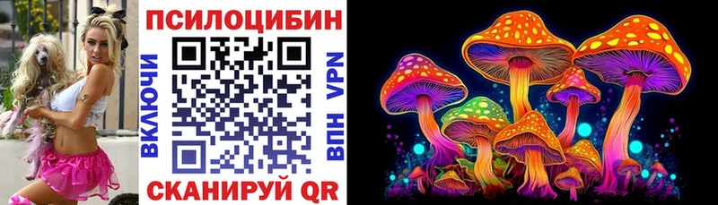 кракен как войти  Облучье  площадка состав  Галлюциногенные грибы GOLDEN TEACHER 